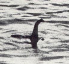 Nessie 1934：这是数据。明智地得出结论。