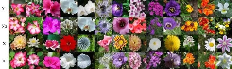 图2：无监督图像-图像转换结果的可视化。计算结果采用FUNIT-5模型。